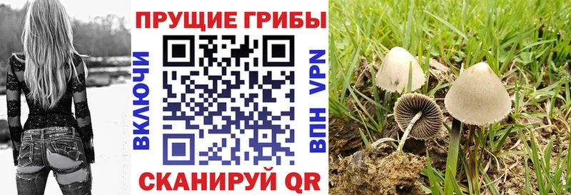 Галлюциногенные грибы ЛСД  Купить  Демидов 